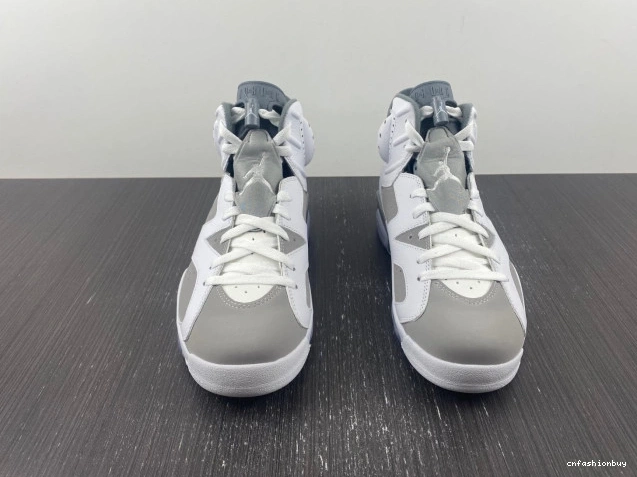 Jordan Grey Cool 6 Air CT8529-100 1031